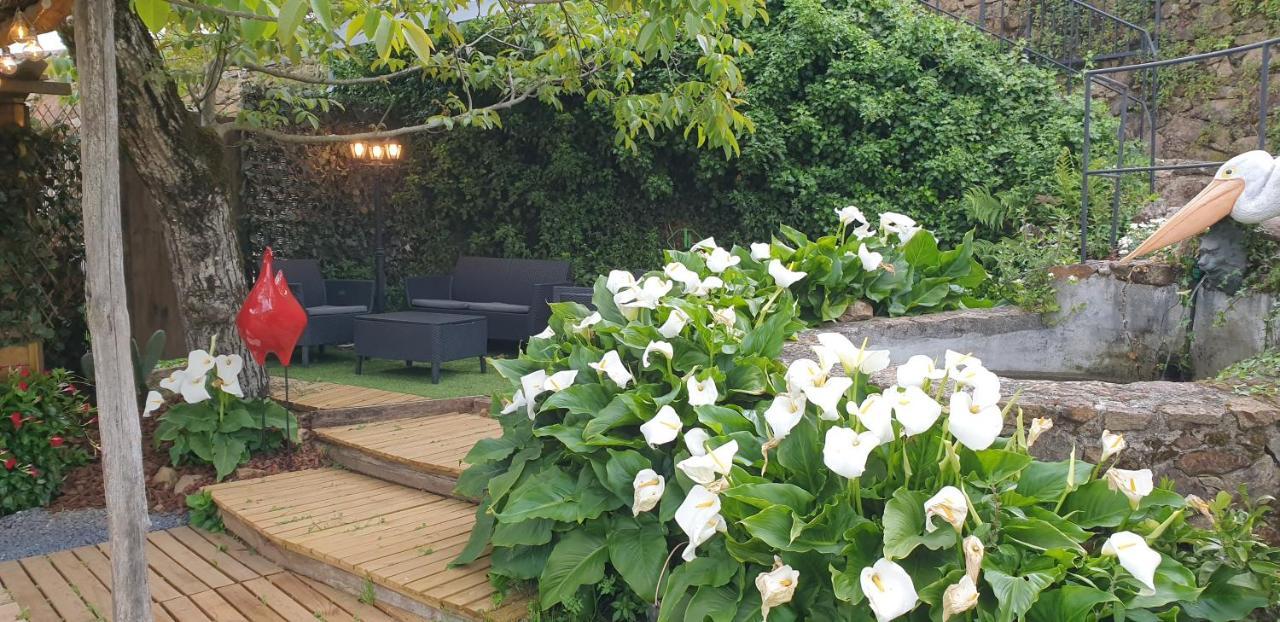 Casa Belavista Penela - Charming Guest House - Adults Only Eksteriør bilde