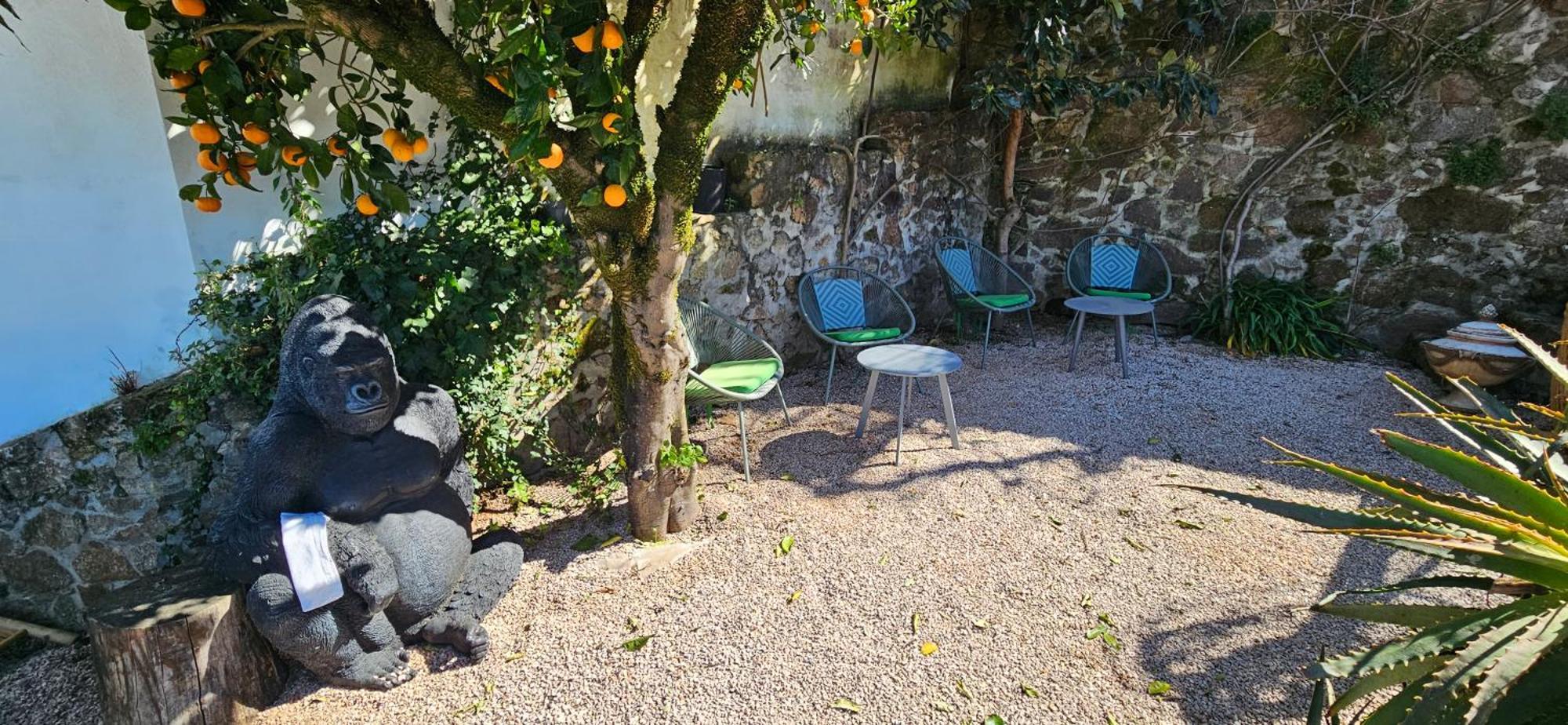 Casa Belavista Penela - Charming Guest House - Adults Only Eksteriør bilde